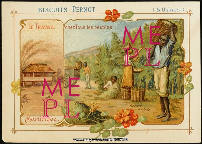 : Martinique Coffee : Martinique Coffee
