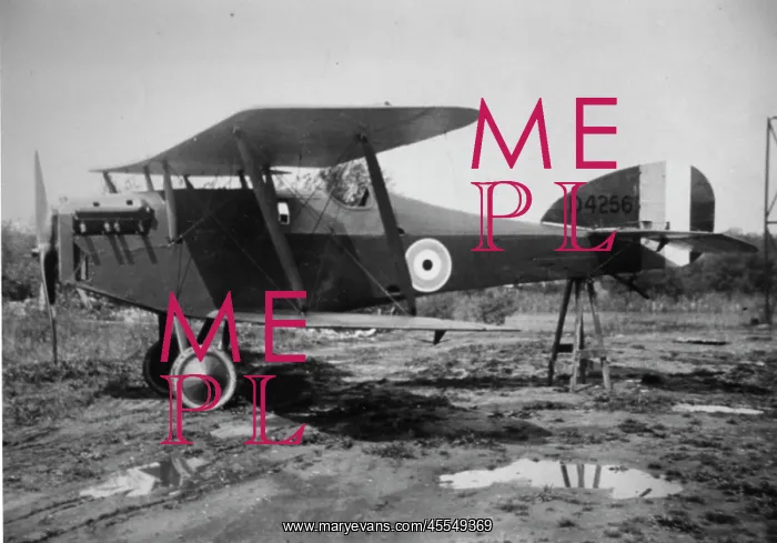 : Martinsyde F4 Buzzard fighter plane : Martinsyde F4 Buzzard fighter plane