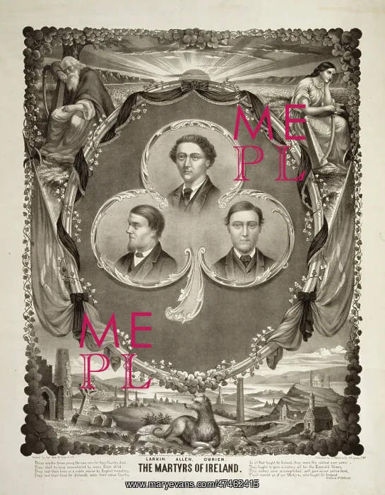 : The martyrs of Ireland : The martyrs of Ireland