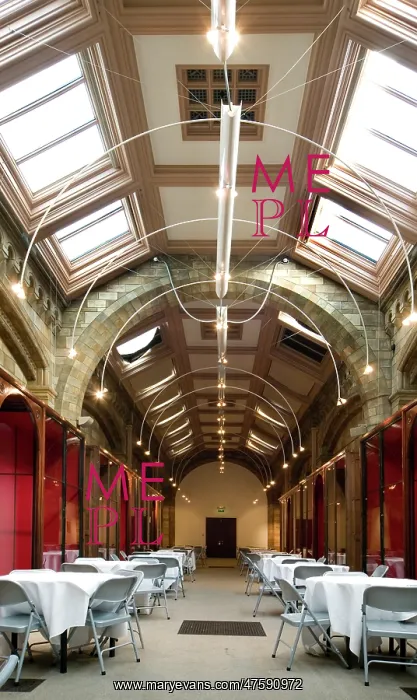 : The Mary Anning room : The Mary Anning room