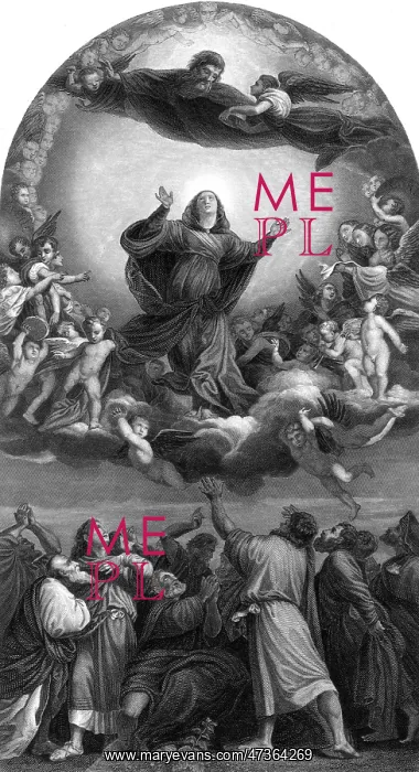: MARY ASCENDS : MARY ASCENDS