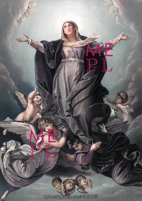 : Mary Ascends to Heaven : Mary Ascends to Heaven