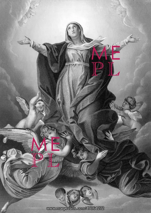 : Mary Ascends to Heaven : Mary Ascends to Heaven