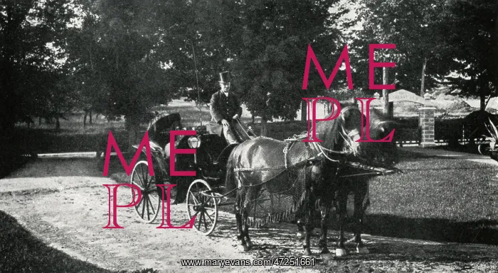 : MARY BAKER EDDY / RETURN : MARY BAKER EDDY / RETURN