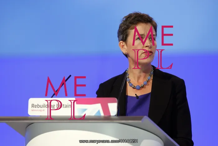 : Mary Creagh MP : Mary Creagh MP