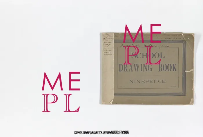 : Mary Gibbs Shapter Drawing Book : Mary Gibbs Shapter Drawing Book
