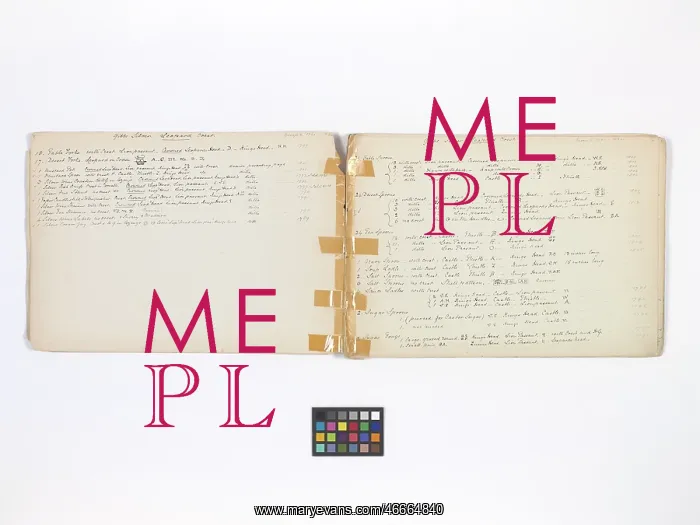 : Mary Gibbs Shapter Drawing Book : Mary Gibbs Shapter Drawing Book