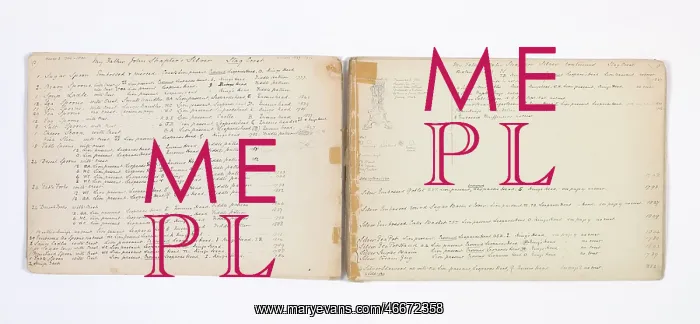 : Mary Gibbs Shapter Drawing Book : Mary Gibbs Shapter Drawing Book