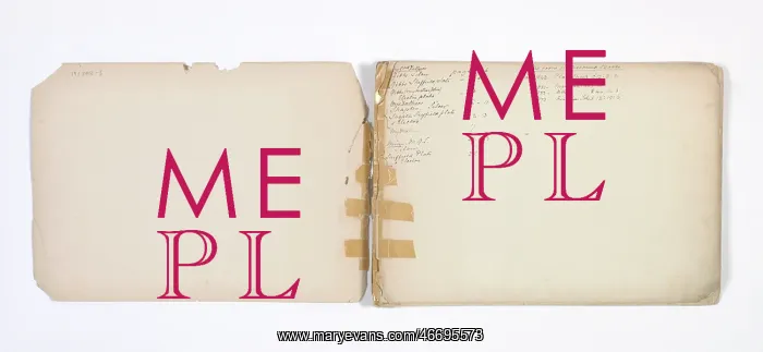 : Mary Gibbs Shapter Drawing Book : Mary Gibbs Shapter Drawing Book
