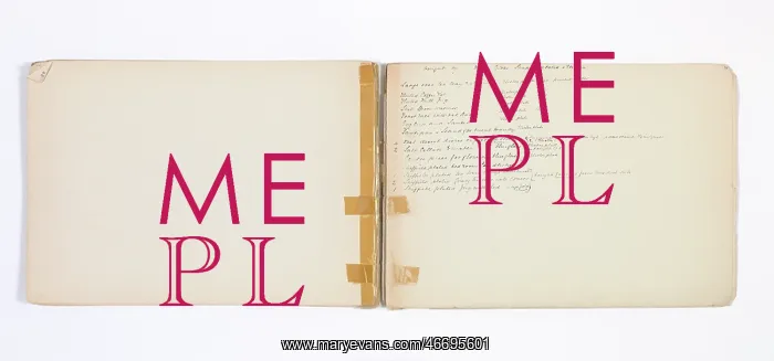 : Mary Gibbs Shapter Drawing Book : Mary Gibbs Shapter Drawing Book