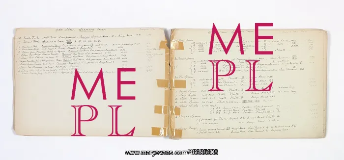 : Mary Gibbs Shapter Drawing Book : Mary Gibbs Shapter Drawing Book