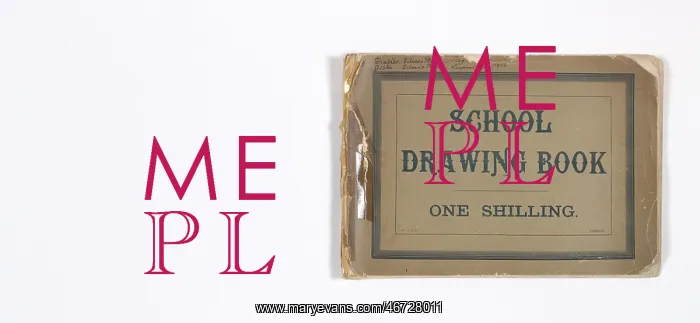 : Mary Gibbs Shapter Drawing Book : Mary Gibbs Shapter Drawing Book