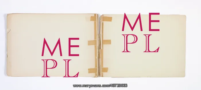 : Mary Gibbs Shapter Drawing Book : Mary Gibbs Shapter Drawing Book