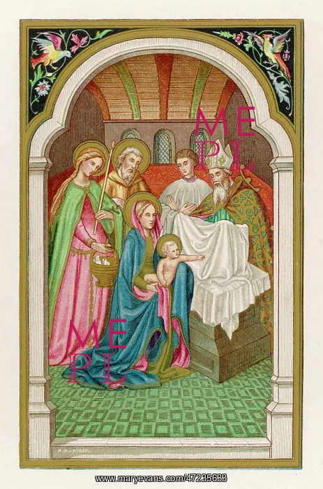 : MARY IS PURIFIED : MARY IS PURIFIED