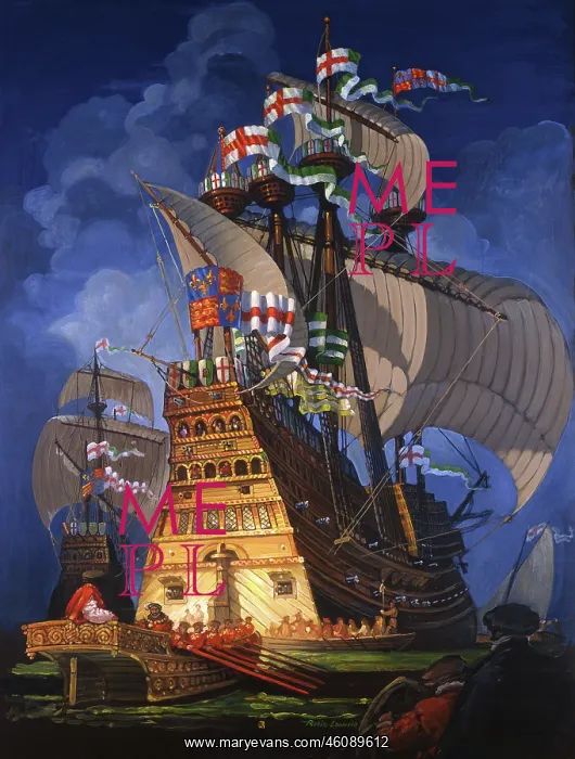 : The Mary Rose : The Mary Rose