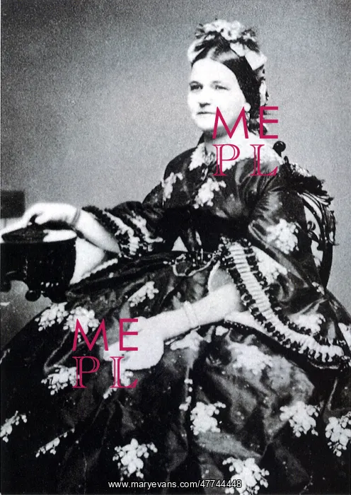 : Mary Todd Lincoln : Mary Todd Lincoln