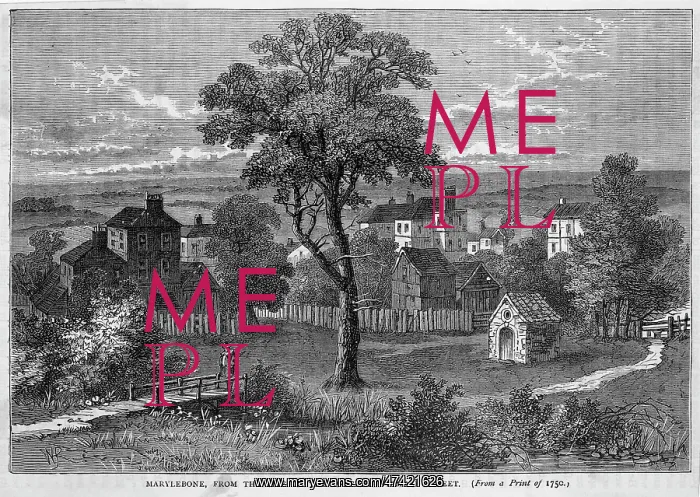 : MARYLEBONE C18 : MARYLEBONE C18