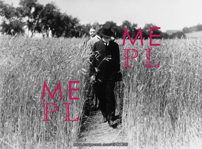  : Masaryk walks trough
