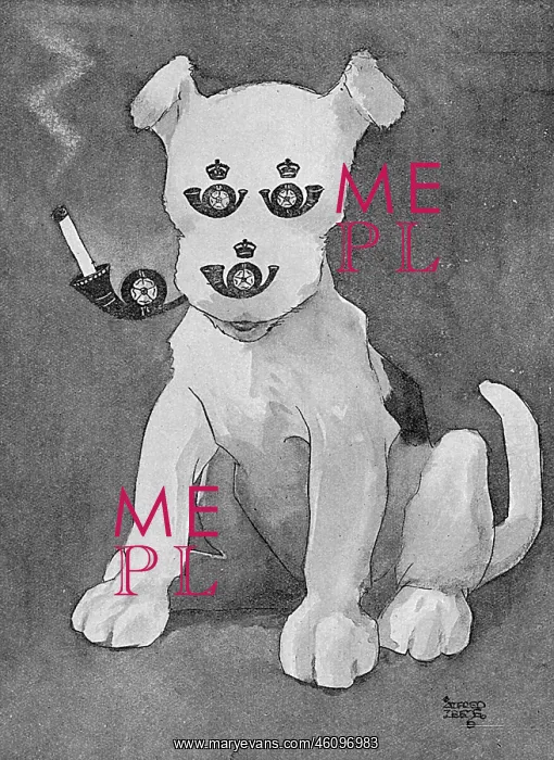 : Masbadges - 4. The Koyli Terrier : Masbadges - 4. The Koyli Terrier