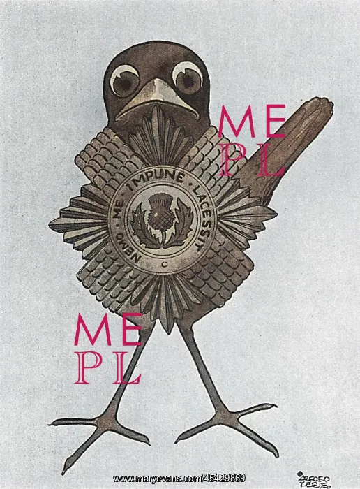 : Masbadges - 5. The Scots Guards Robin : Masbadges - 5. The Scots Guards Robin