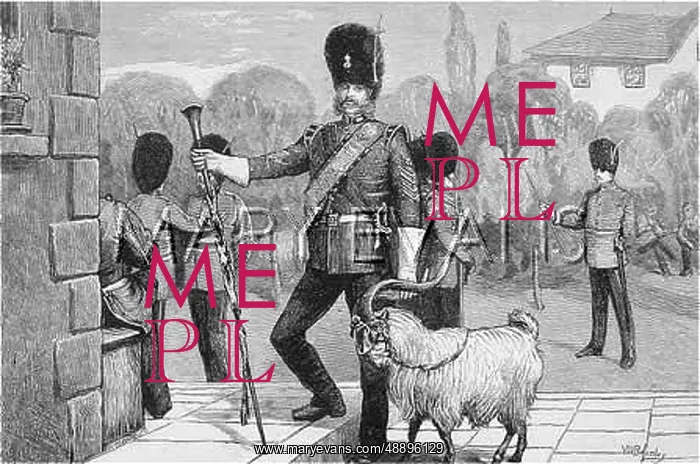 : MASCOT, WELSH FUSILIERS : MASCOT, WELSH FUSILIERS