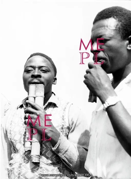  : Mashiba panpipes called ntambu, Luba