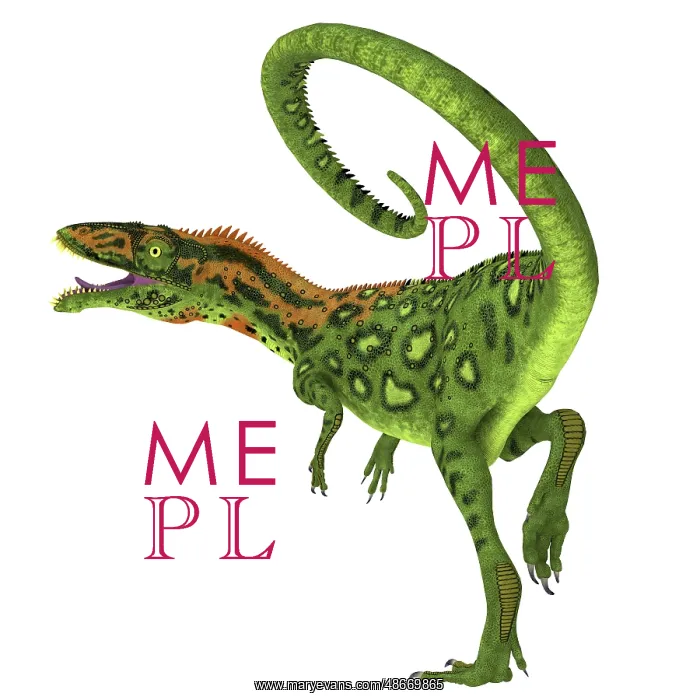 : Masiakasaurus dinosaur on white background : Masiakasaurus dinosaur on white background