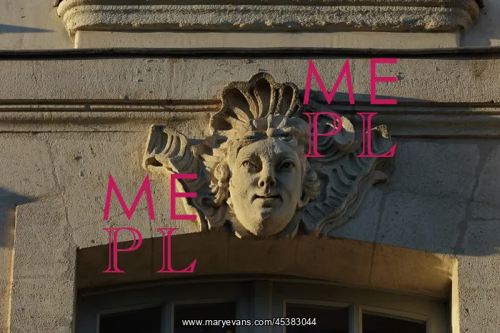 : Mask, Hotel des Freres Raimbaud, Ile Feydeau, Nantes, France : Mask, Hotel des Freres Raimbaud, Ile Feydeau, Nantes, France