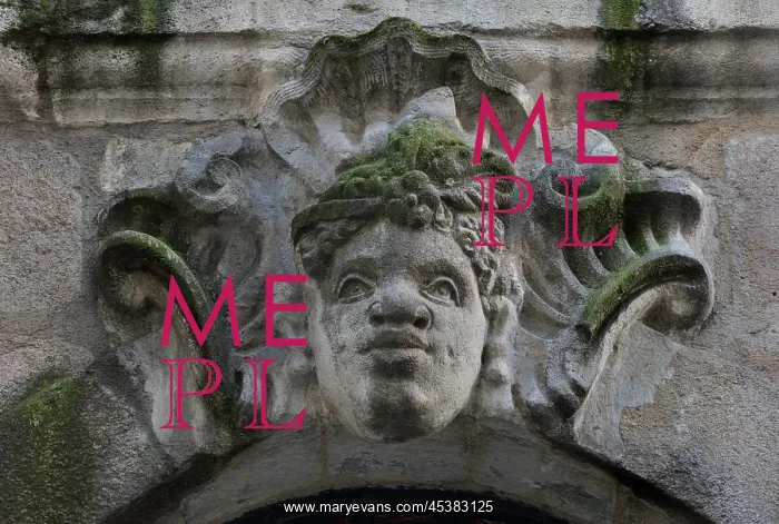 : Mask, Hotel des Freres Raimbaud, Ile Feydeau, Nantes, France : Mask, Hotel des Freres Raimbaud, Ile Feydeau, Nantes, France
