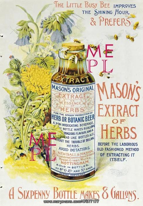 : Mason's Extract of Herbs, c. 1890 : Mason's Extract of Herbs, c. 1890