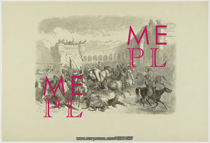 : Masquerade bullfighting : Masquerade bullfighting