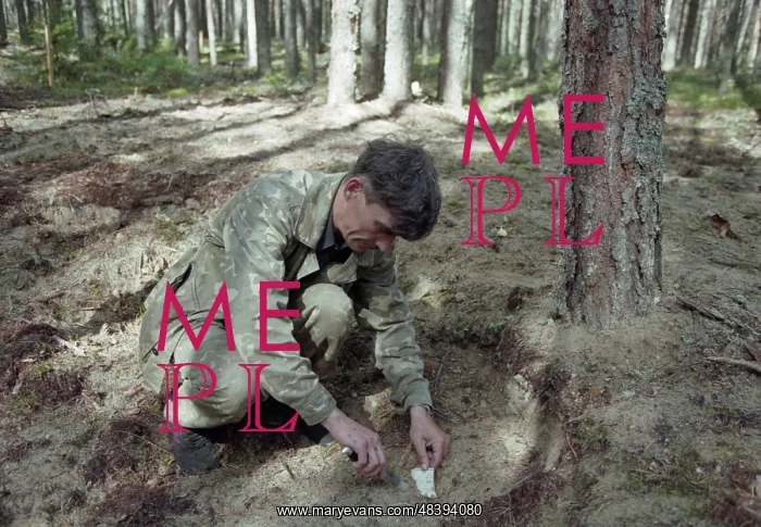 : Mass grave in Karelia : Mass grave in Karelia