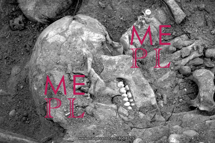 : Mass graves from the spanish Civil War 2003 : Mass graves from the spanish Civil War 2003