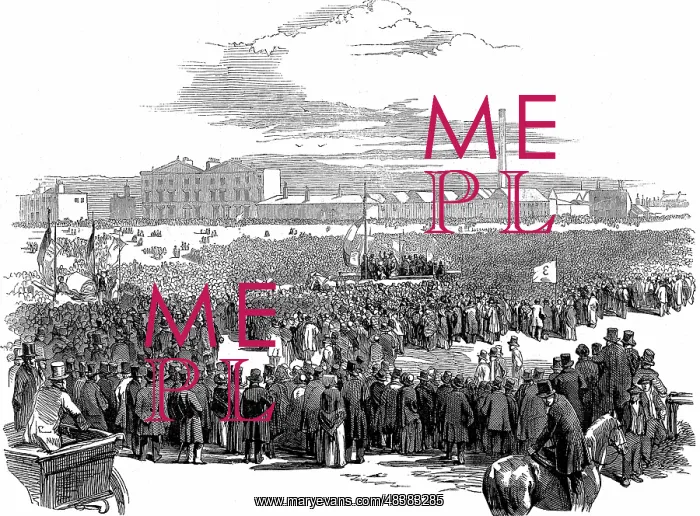 : Mass meeting of Chartists on Kennington Common : Mass meeting of Chartists on Kennington Common