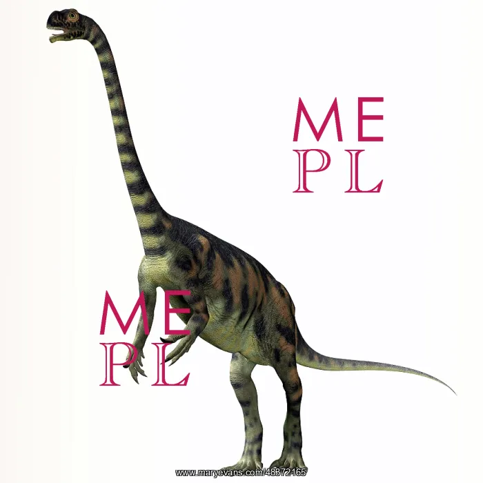 : Massospondylus dinosaur : Massospondylus dinosaur