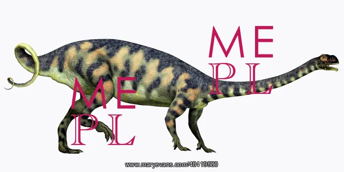: Massospondylus dinosaur : Massospondylus dinosaur