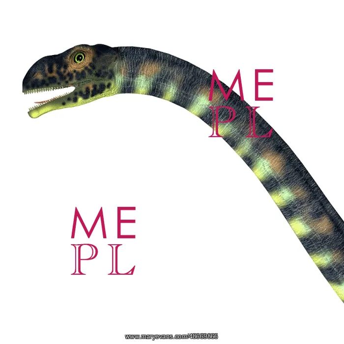 : Massospondylus dinosaur head, white background : Massospondylus dinosaur head, white background