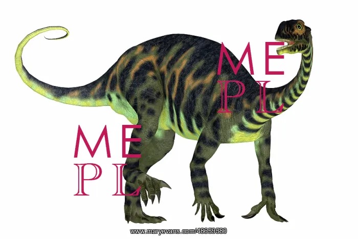 : Massospondylus dinosaur, side view on white background : Massospondylus dinosaur, side view on white background