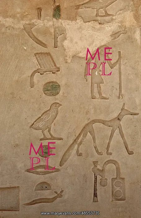 : Mastaba of Nefer and Kahay. Relief. Hieroglyphic. Egypt : Mastaba of Nefer and Kahay. Relief. Hieroglyphic. Egypt