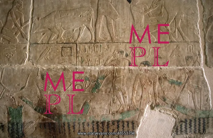 : Mastaba of Nefer and Kahay. Relief. Servants transporting go : Mastaba of Nefer and Kahay. Relief. Servants transporting go