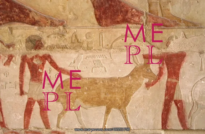 : Mastaba of Nefer and Kahay. Relief. Two shepherds with a goa : Mastaba of Nefer and Kahay. Relief. Two shepherds with a goa