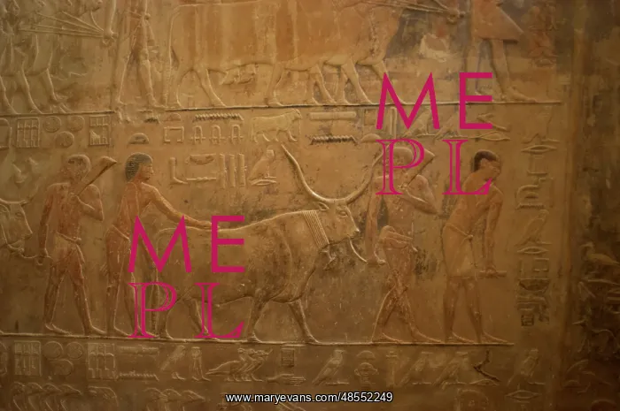 : Mastaba of Ptahhotep and Akhethotep. Egypt : Mastaba of Ptahhotep and Akhethotep. Egypt