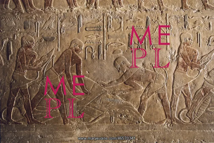  : Mastaba of Ti. EGYPT. Saqqara. Mastaba of Ti