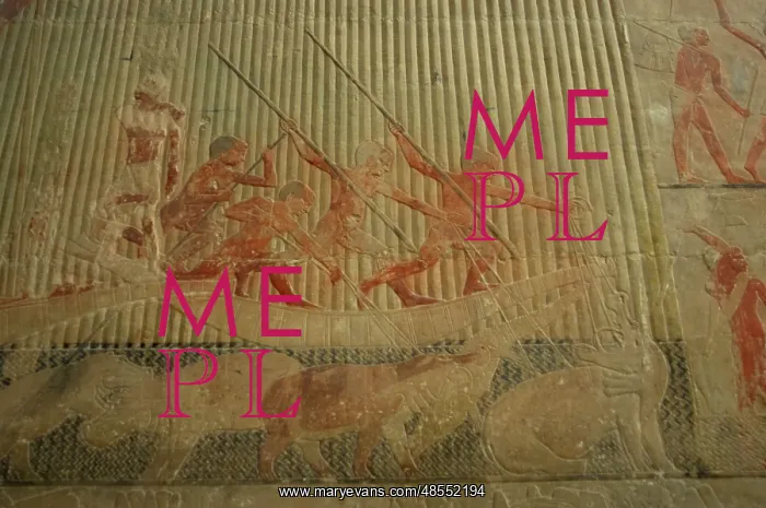 : Mastaba of Ti. Interior. Egypt : Mastaba of Ti. Interior. Egypt