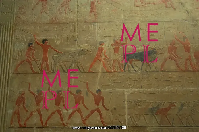 : Mastaba of Ti. Interior. Egypt : Mastaba of Ti. Interior. Egypt