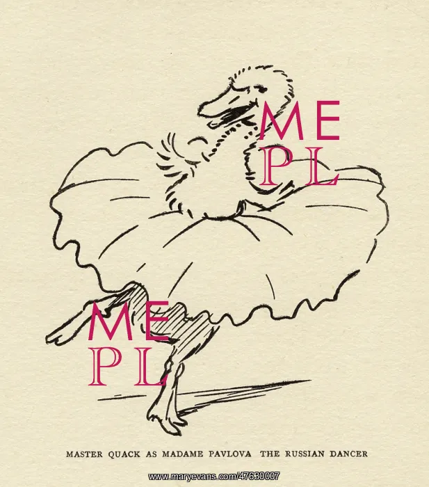 : Master Quack the duck dressed as a ballerina : Master Quack the duck dressed as a ballerina