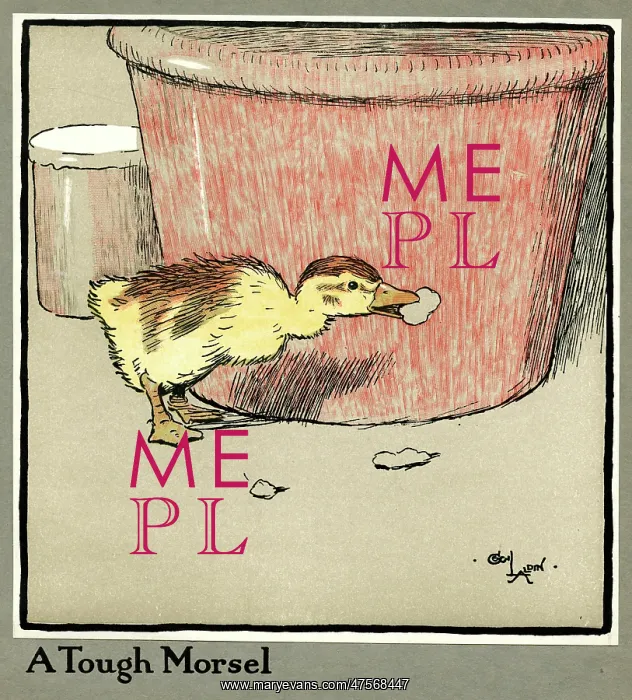 : Master Quack the duckling finds a tough morsel : Master Quack the duckling finds a tough morsel