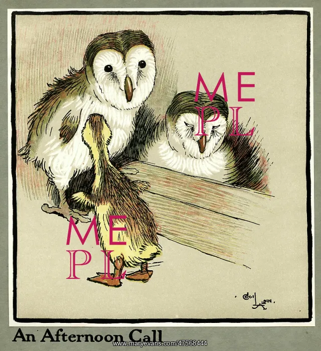 : Master Quack the duckling meets two owls : Master Quack the duckling meets two owls