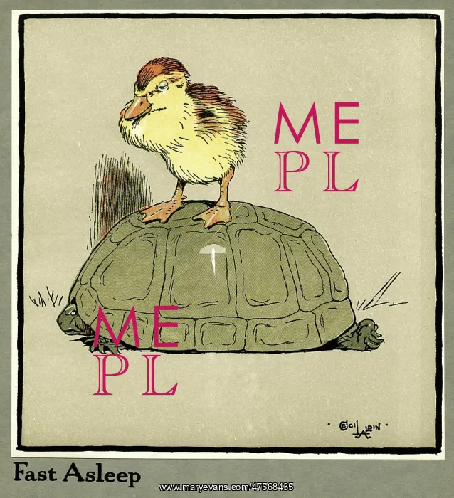 : Master Quack the duckling riding a tortoise : Master Quack the duckling riding a tortoise
