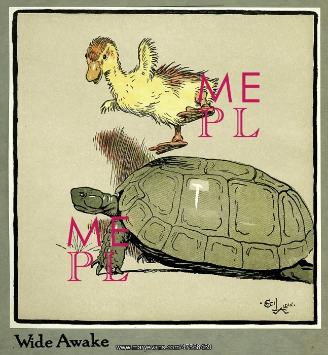 : Master Quack the duckling thrown into the air : Master Quack the duckling thrown into the air